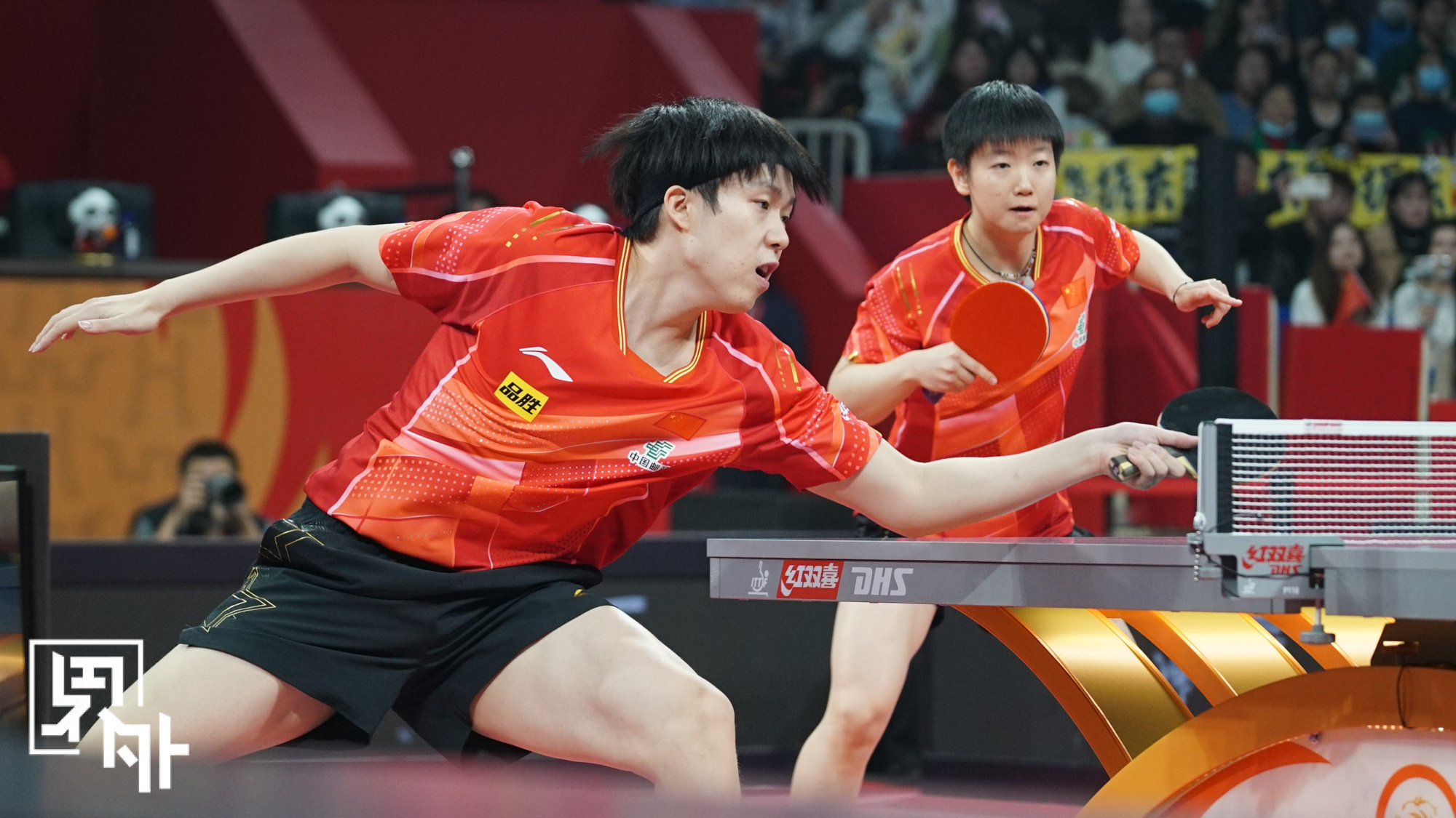 德国乒乓球队鏖战比利时乒乓球队，马龙制霸全场的简单介绍