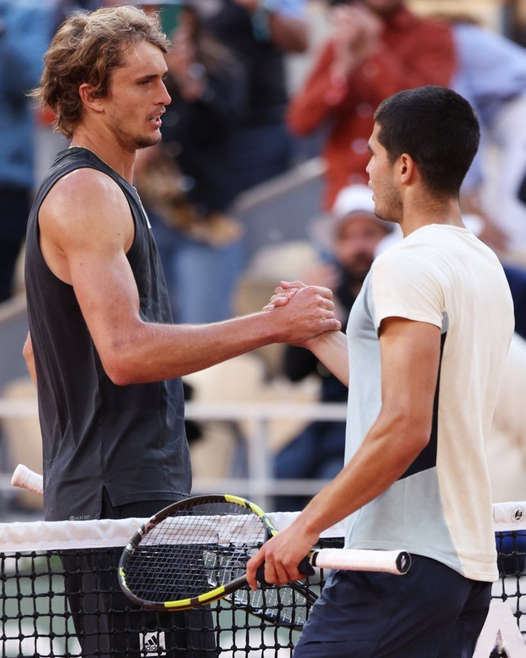 日本网球队翻盘法国网球队，兹维列夫制霸全场的简单介绍