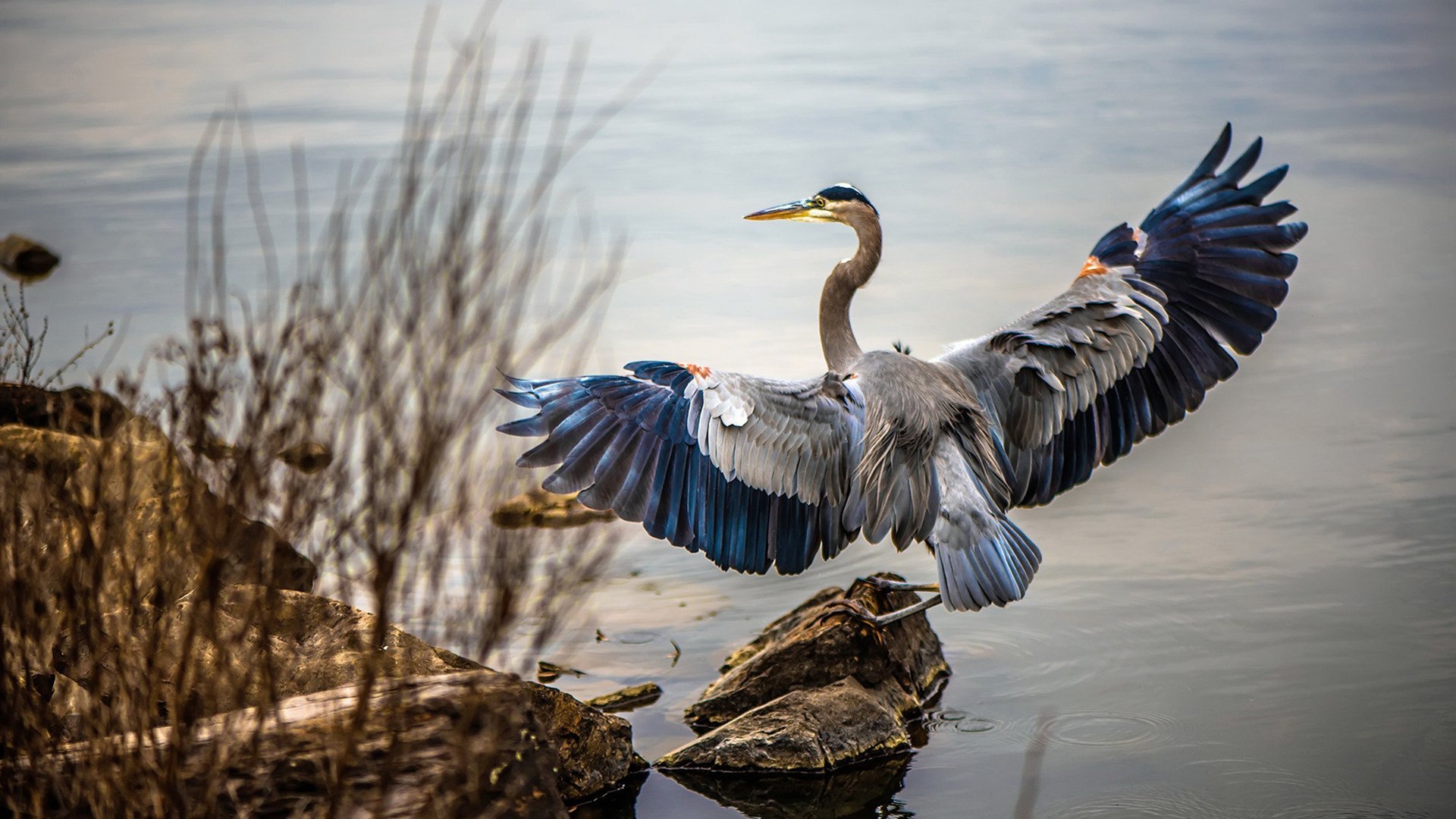 迪马利亚的爆发与安哥拉的压制,一场战术与意志的较量