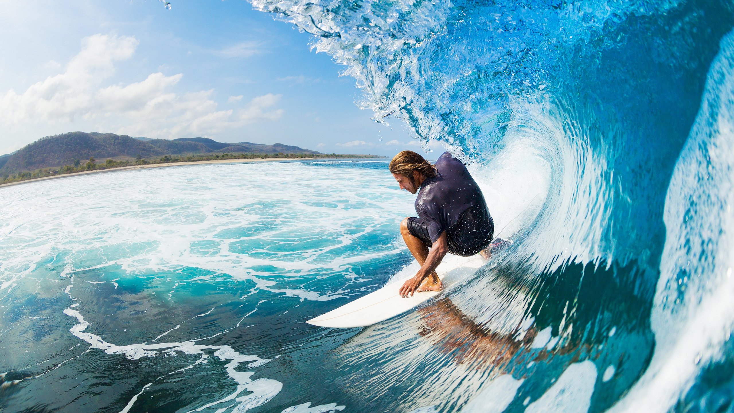 蛰伏后的觉醒，爱德华兹的救赎与黄蜂的雷霆之战